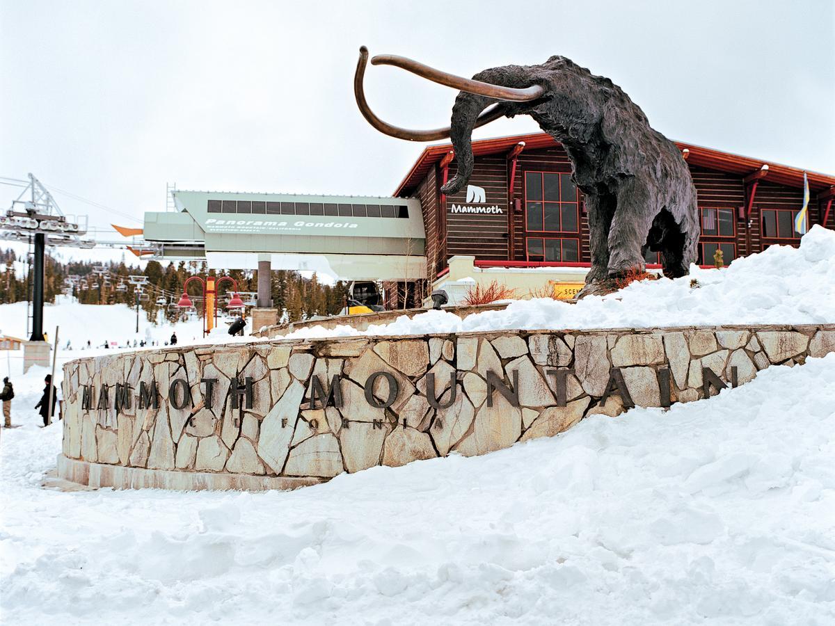 Mammoth Mtn